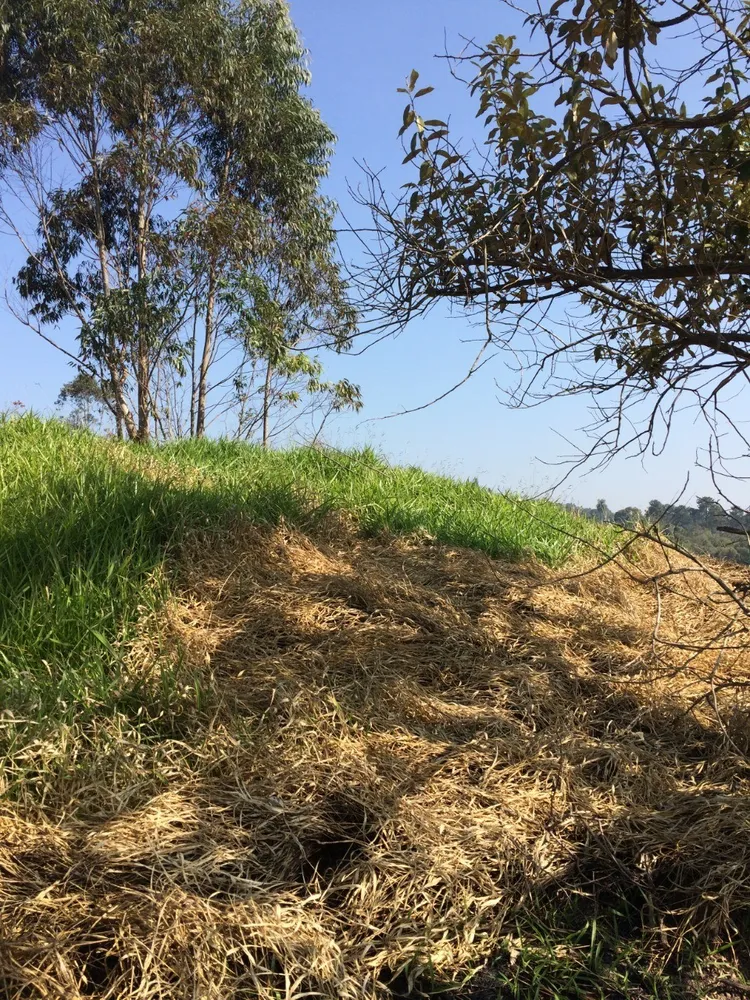 Loteamento e Condomínio, 2 hectares - Foto 4