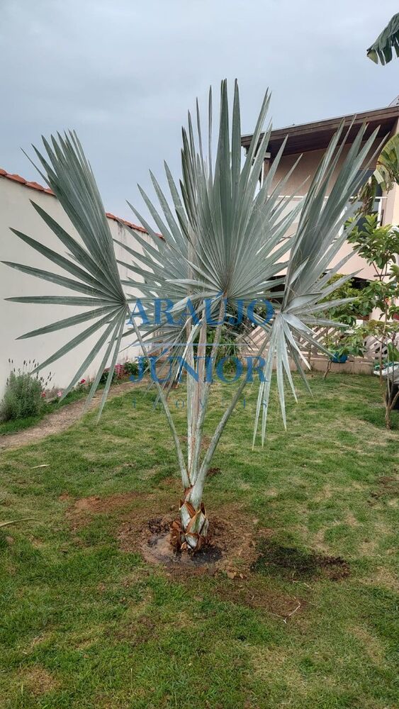 Casa, 3 quartos, 165 m² - Foto 5