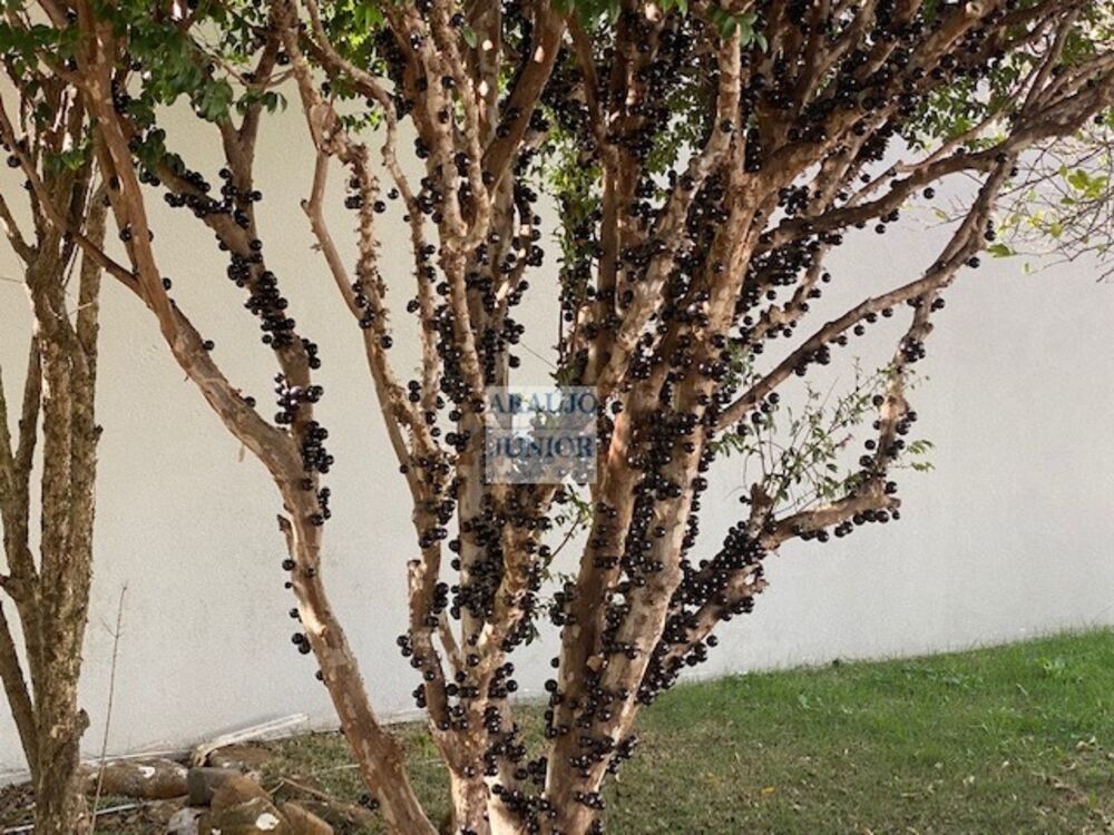 Casa, 3 quartos, 950 m² - Foto 11