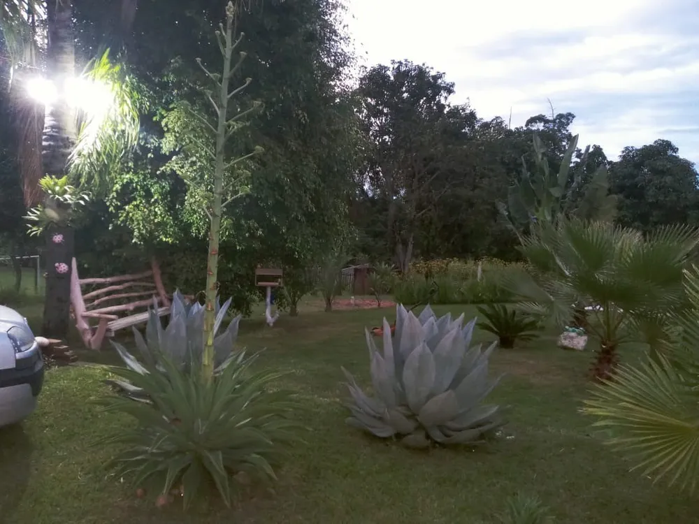 Chácara, 1 quarto - Foto 7