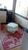 Apartamento, 2 quartos, 54 m² - Foto 2