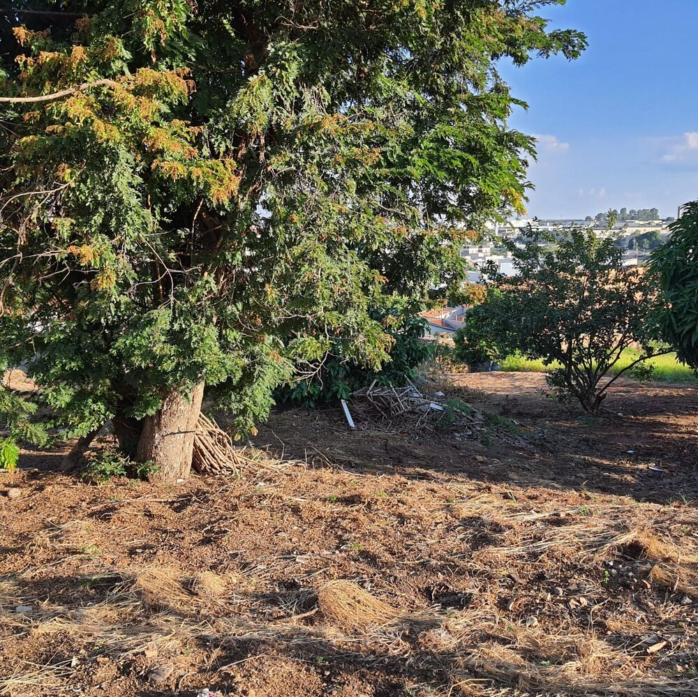 Terreno à venda, 360m² - Foto 7