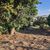 Terreno, 360 m² - Foto 7