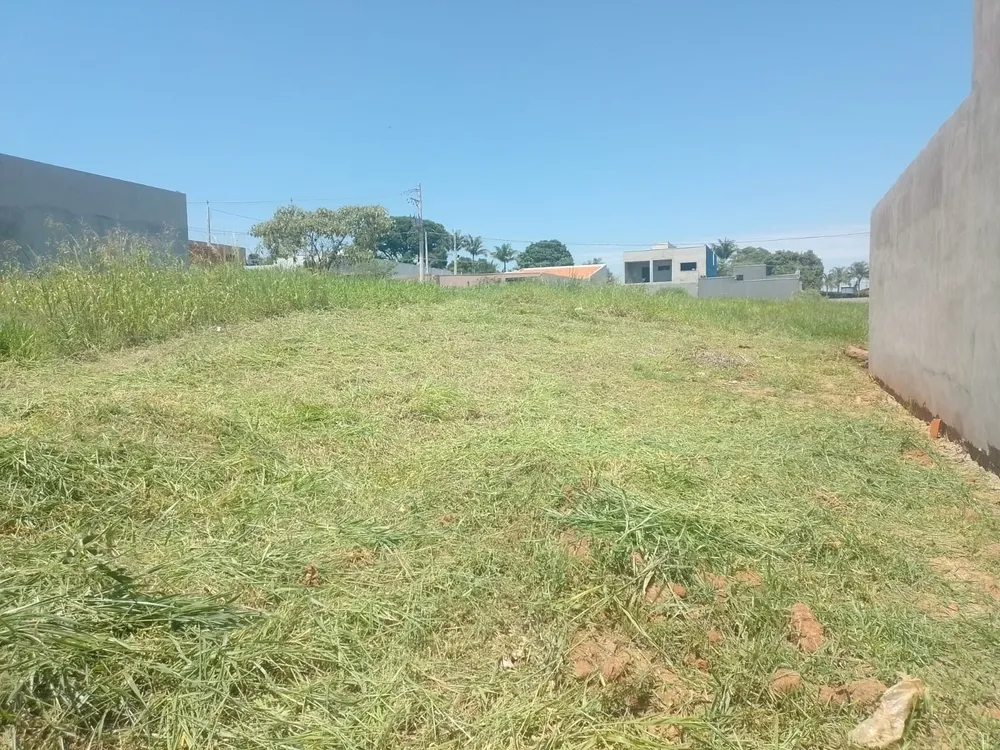 Terreno, 250 m² - Foto 6