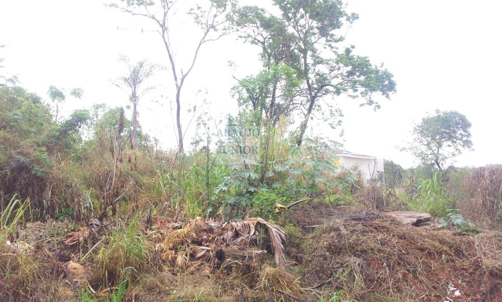 Terreno, 1000 m² - Foto 1