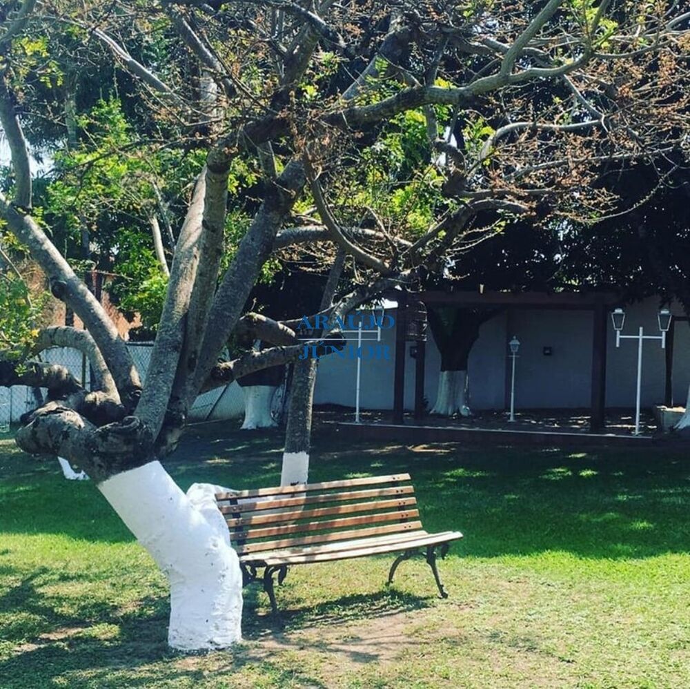 Chácara, 6 quartos - Foto 16