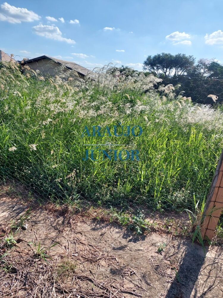 Terreno à venda, 330m² - Foto 12