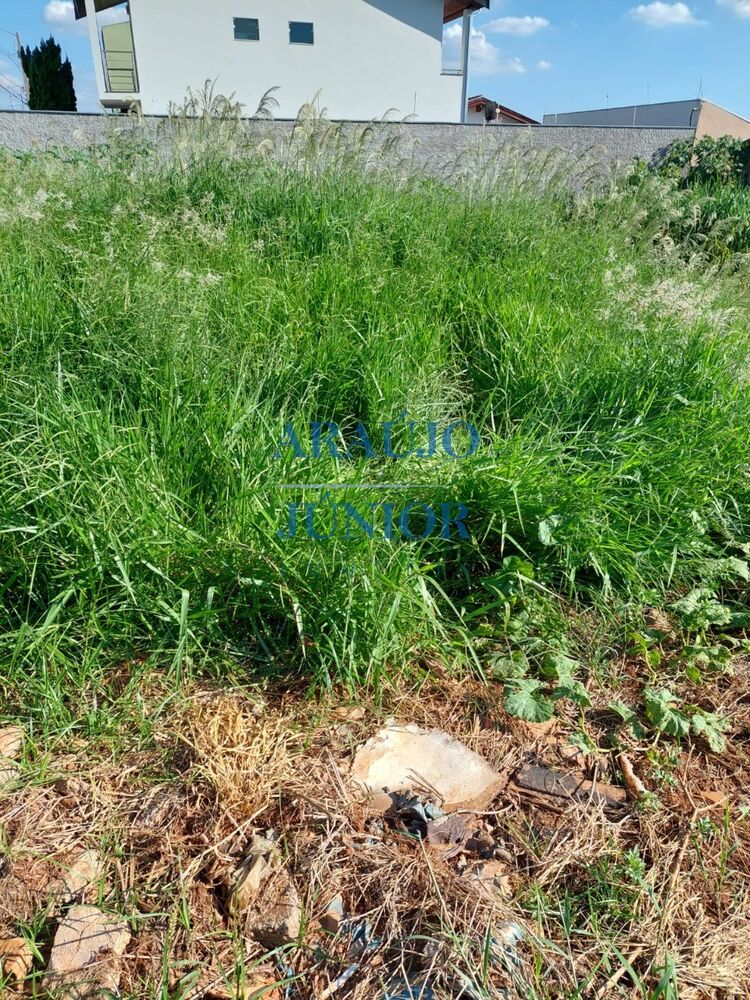 Terreno à venda, 330m² - Foto 10