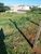 Terreno, 330 m² - Foto 3