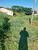 Terreno, 330 m² - Foto 5