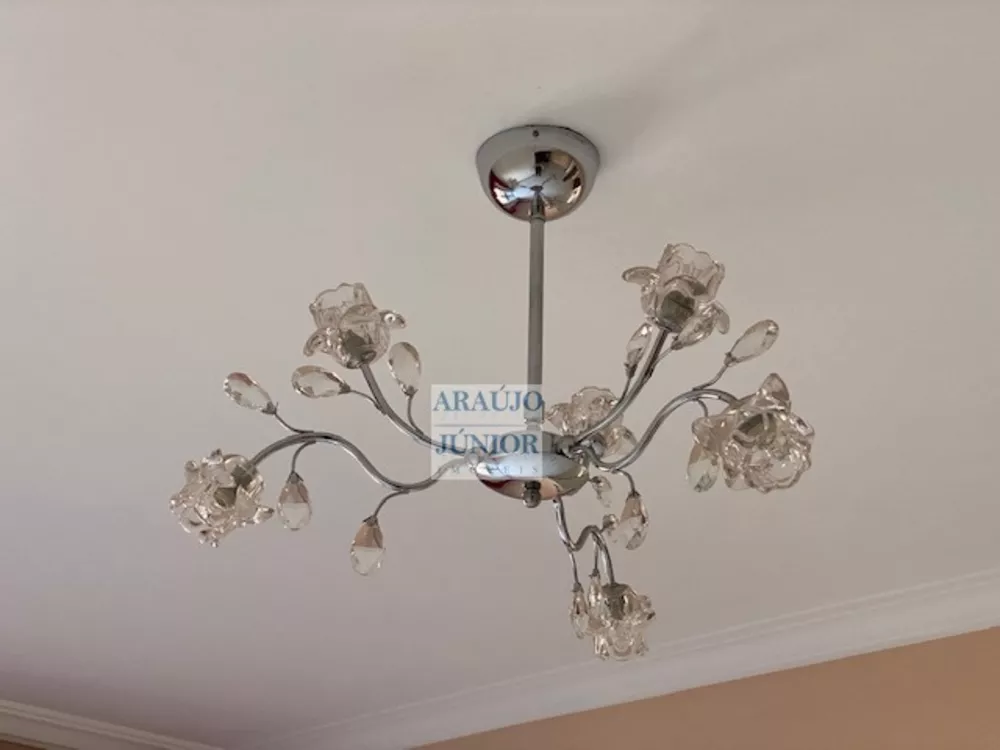 Cobertura, 3 quartos, 250 m² - Foto 6