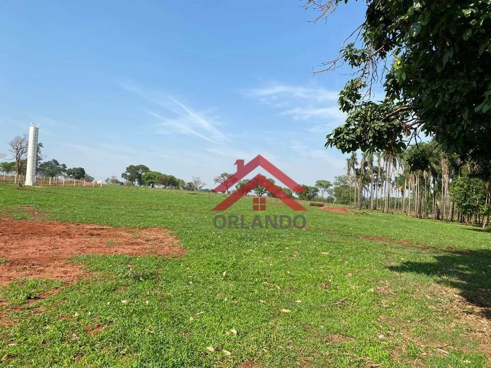 Fazenda, 242 hectares - Foto 2