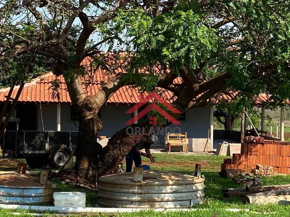 Fazenda, 242 hectares - Foto 3