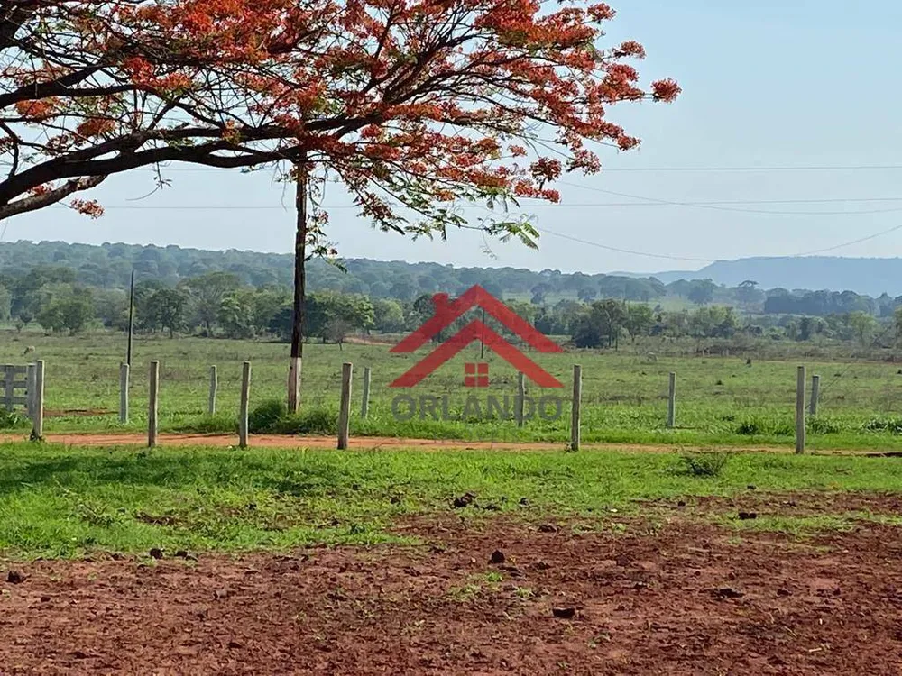 Fazenda, 242 hectares - Foto 4