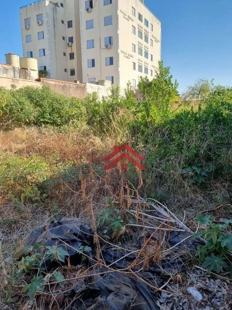 Terreno, 310 m² - Foto 3
