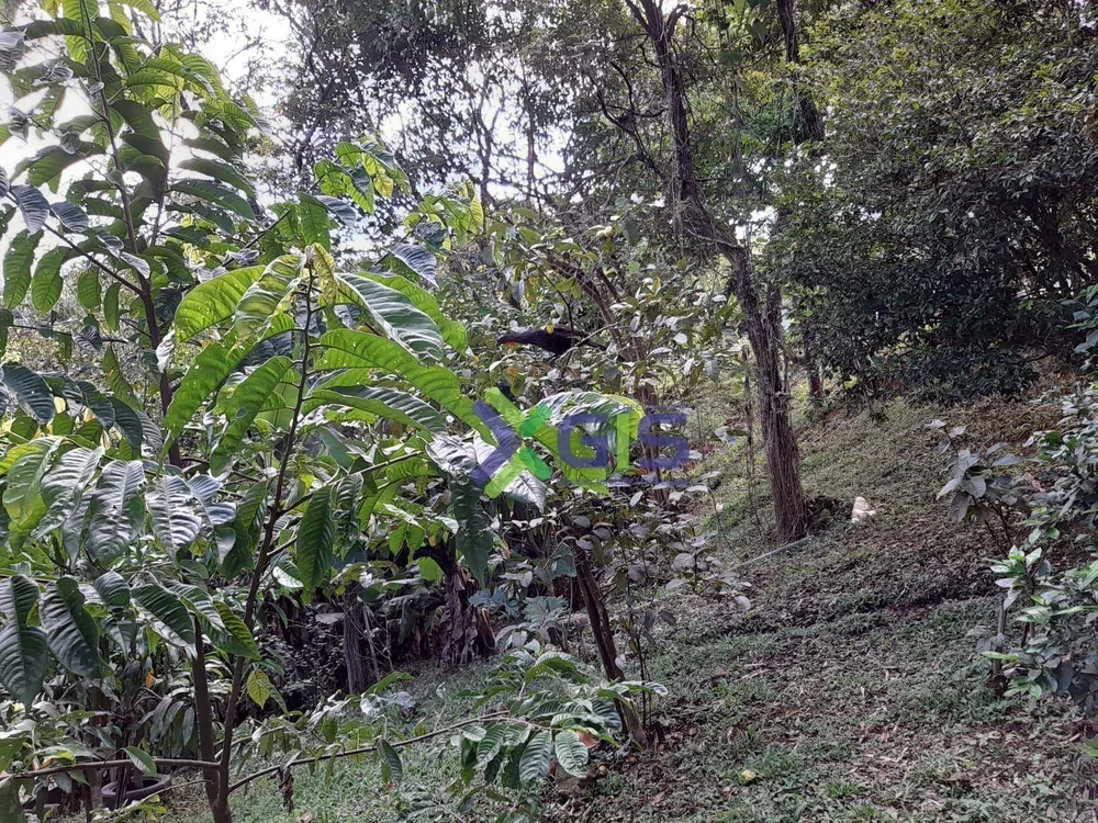 Chácara, 4 quartos, 3000 m² - Foto 2