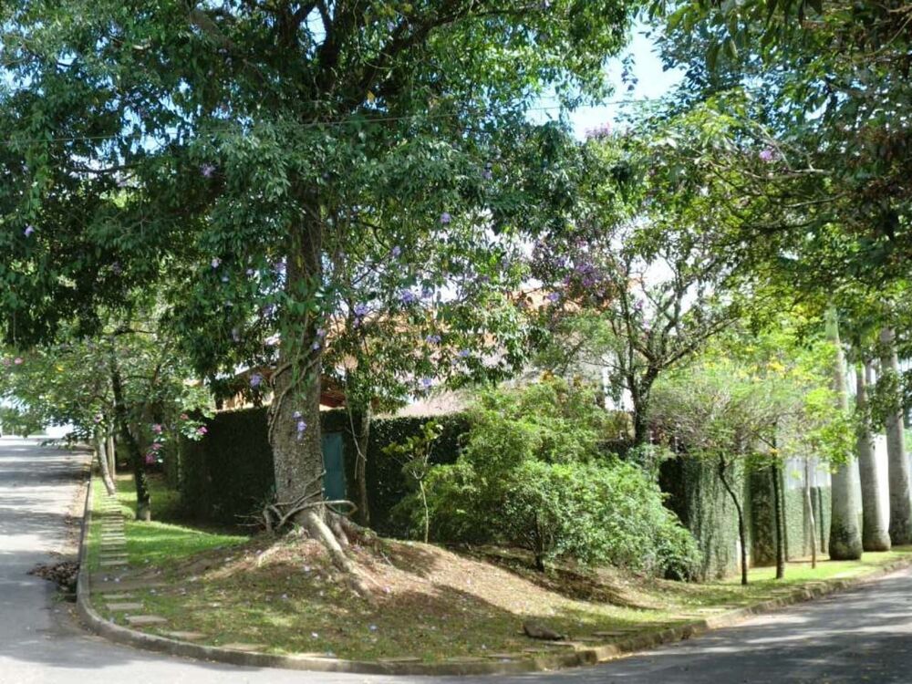 Casa, 5 quartos, 800 m² - Foto 6
