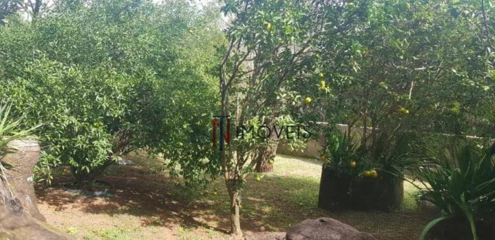 Casa, 4 quartos, 337 m² - Foto 1