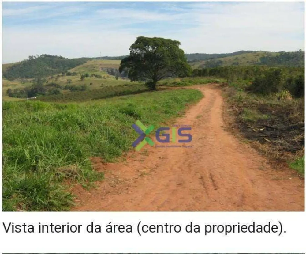 Terreno, 12 hectares - Foto 4
