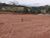 Terreno, 250 m² - Foto 2