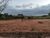 Terreno, 250 m² - Foto 3