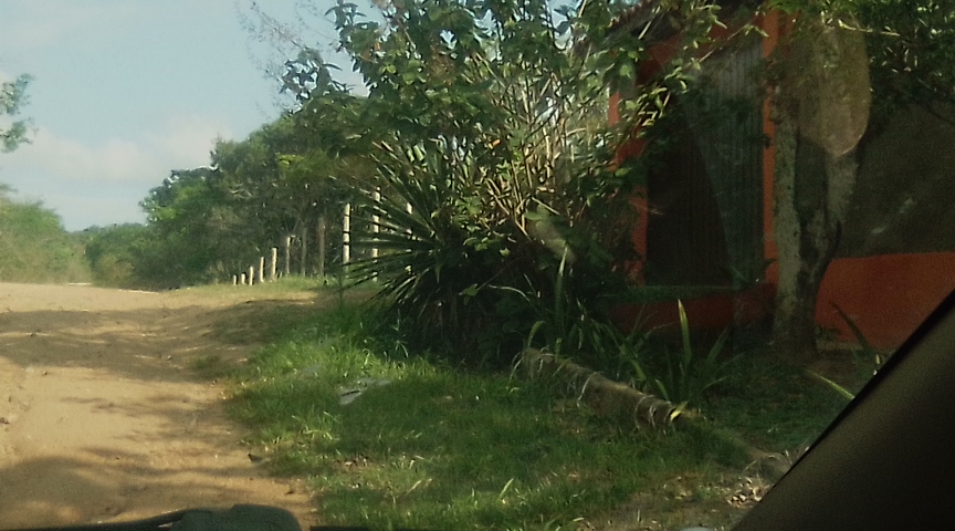 Terreno à venda, 600m2 - Foto 7