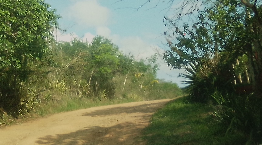 Terreno à venda, 600m2 - Foto 12