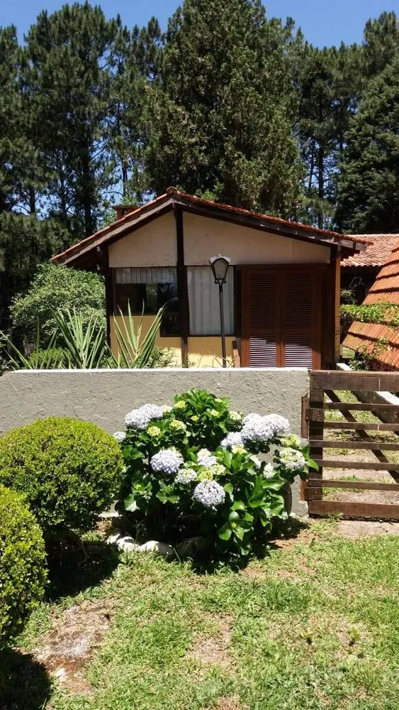Sítio, 3 quartos, 2160 m² - Foto 3