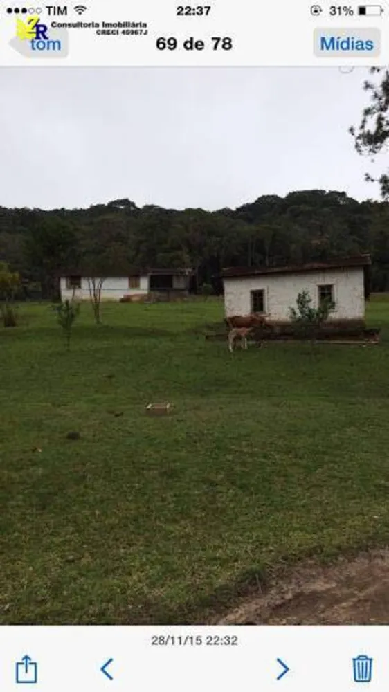 Sítio, 5 quartos, 2 hectares - Foto 8