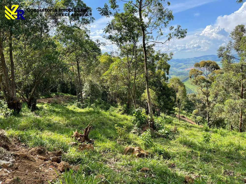 Terreno, 4 hectares - Foto 6