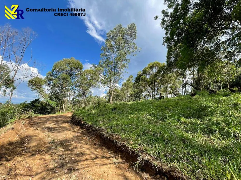 Terreno, 4 hectares - Foto 4