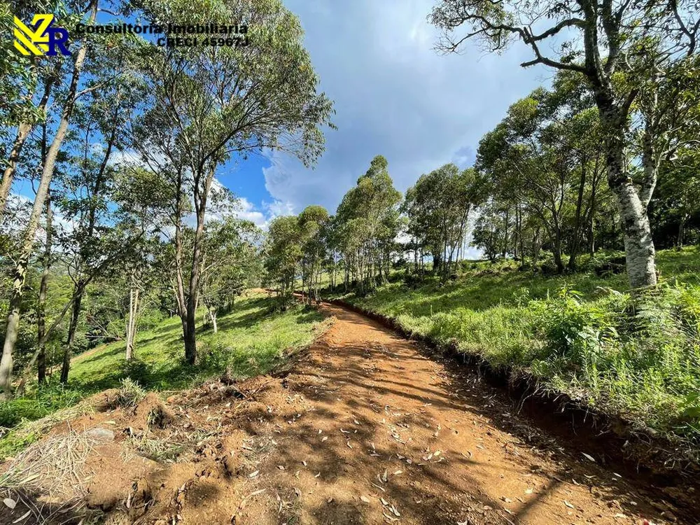 Terreno, 4 hectares - Foto 7