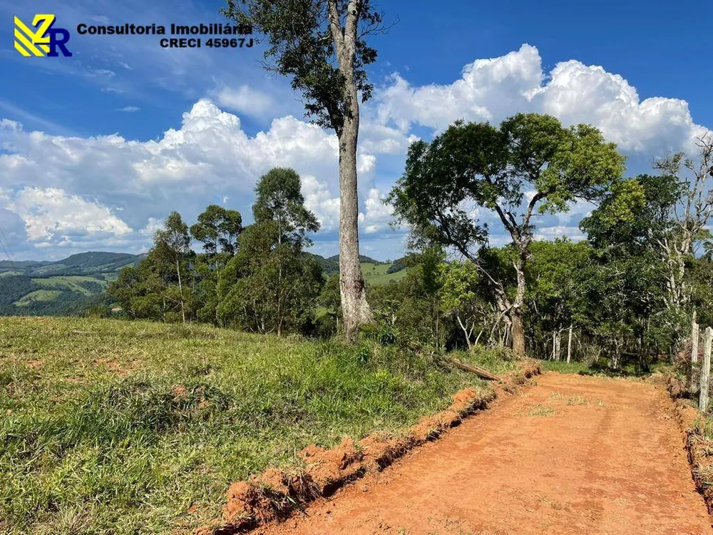 Terreno, 4 hectares - Foto 8