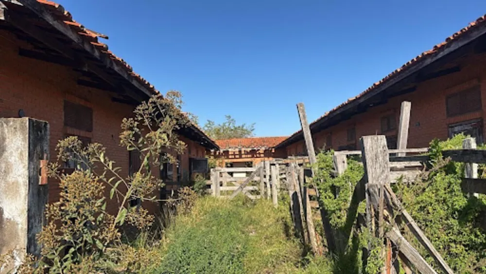Fazenda, 48 hectares - Foto 3