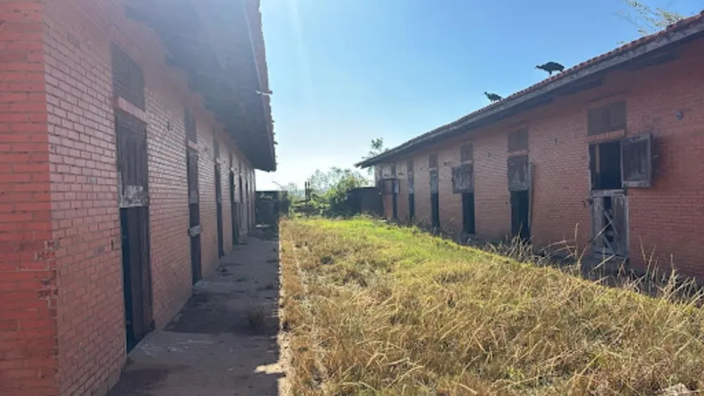 Fazenda, 48 hectares - Foto 4