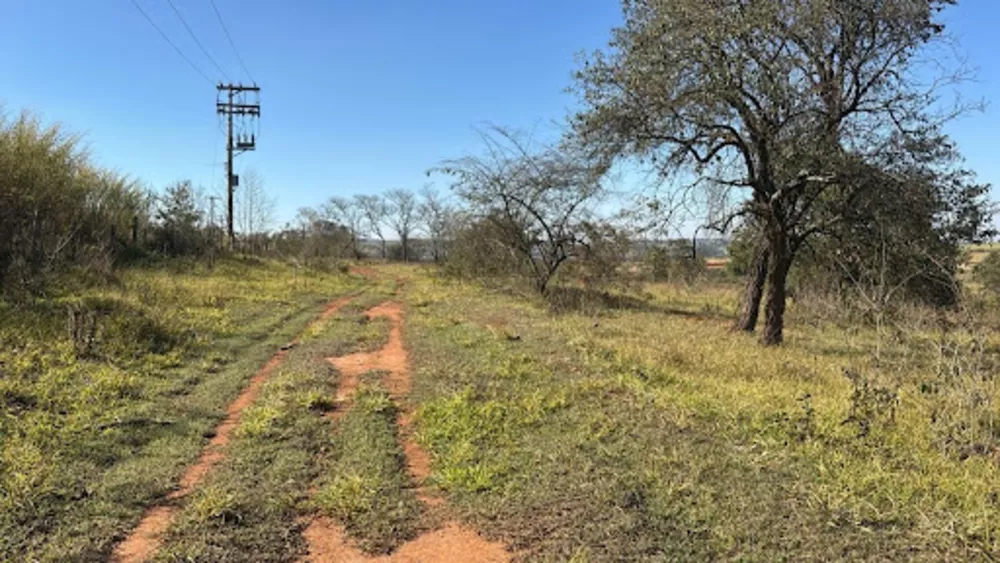 Fazenda, 48 hectares - Foto 2