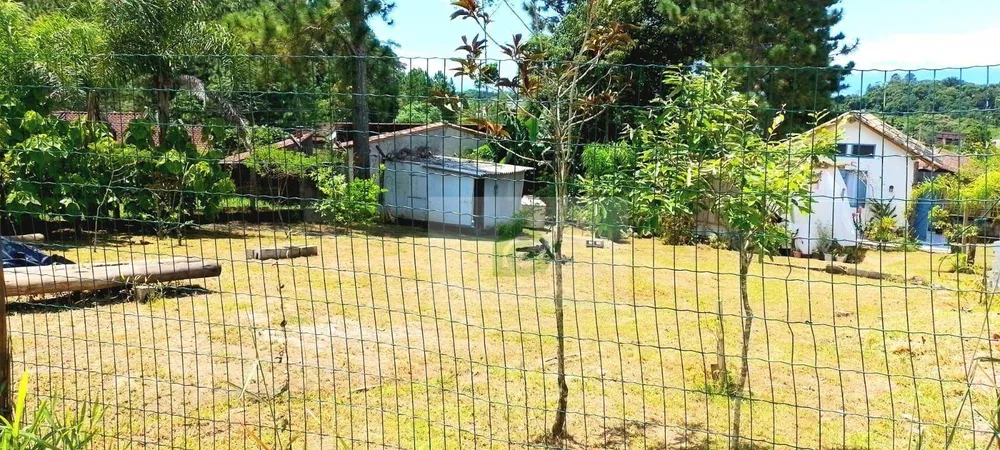 Terreno, 598 m² - Foto 3