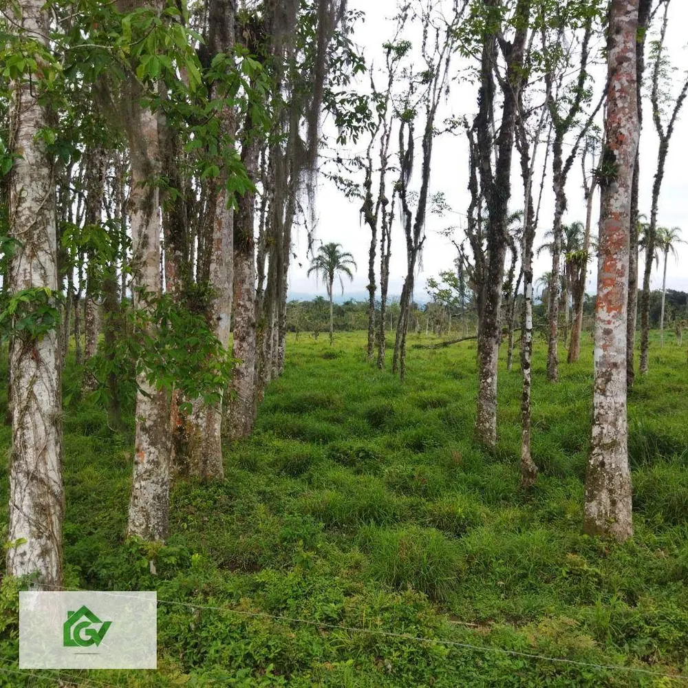 Terreno, 3 hectares - Foto 3