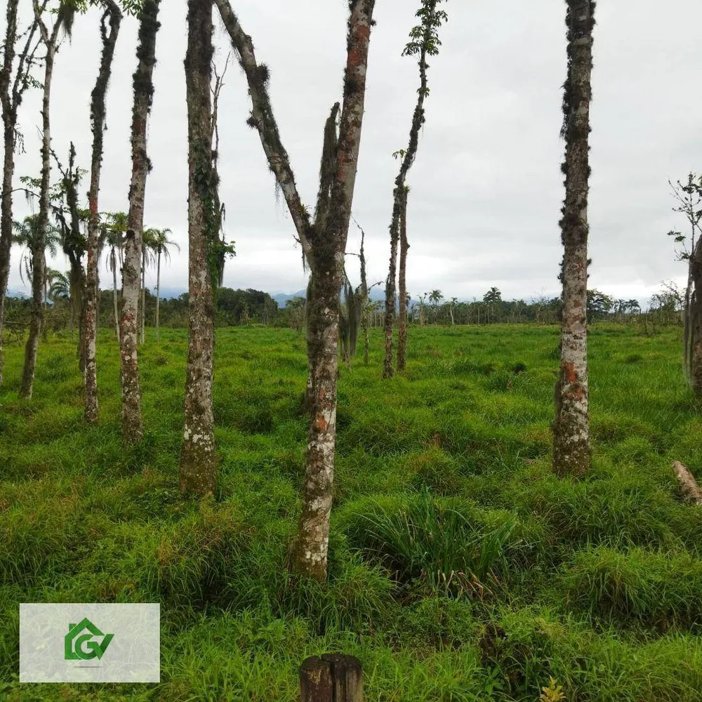 Terreno, 3 hectares - Foto 8