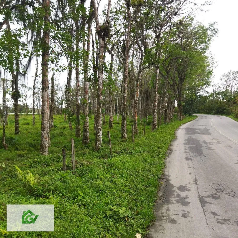 Terreno, 3 hectares - Foto 9