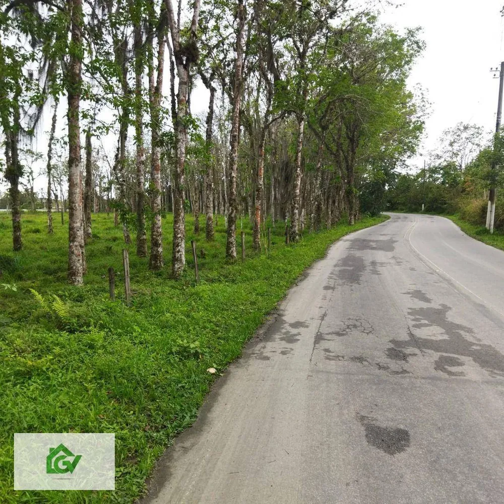 Terreno, 3 hectares - Foto 7