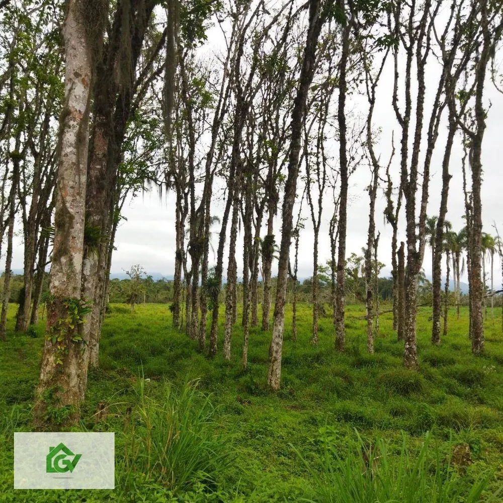 Terreno, 3 hectares - Foto 6