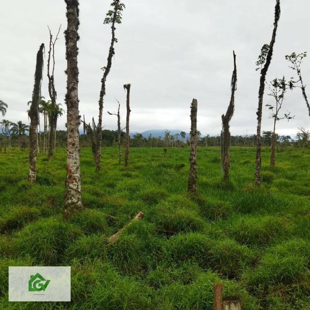 Terreno, 3 hectares - Foto 1