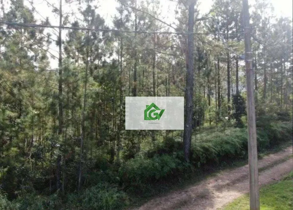 Terreno, 500 m² - Foto 2