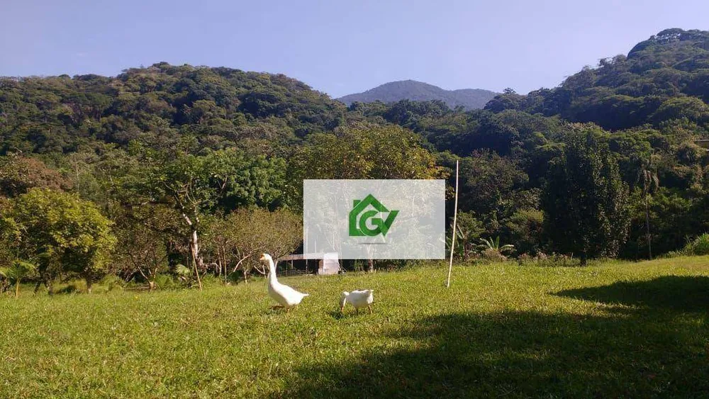 Sítio, 7 quartos, 24 hectares - Foto 1