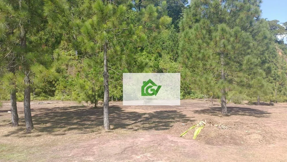 Terreno, 8626 m² - Foto 5