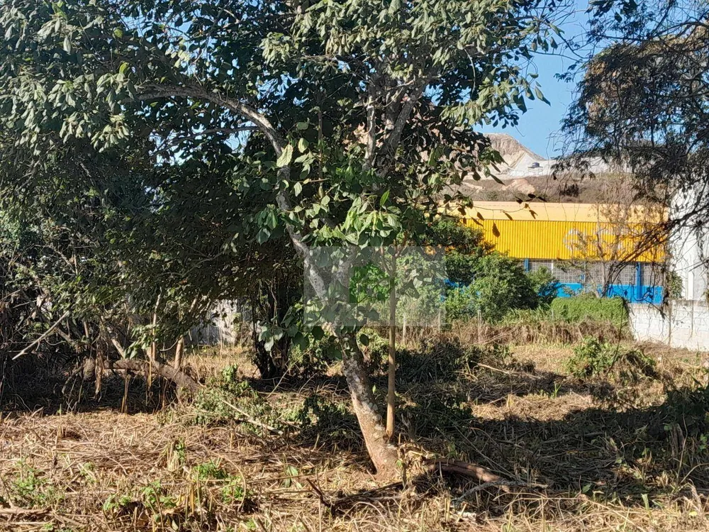 Terreno, 1000 m² - Foto 6