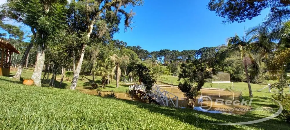 Sítio, 5 hectares - Foto 14