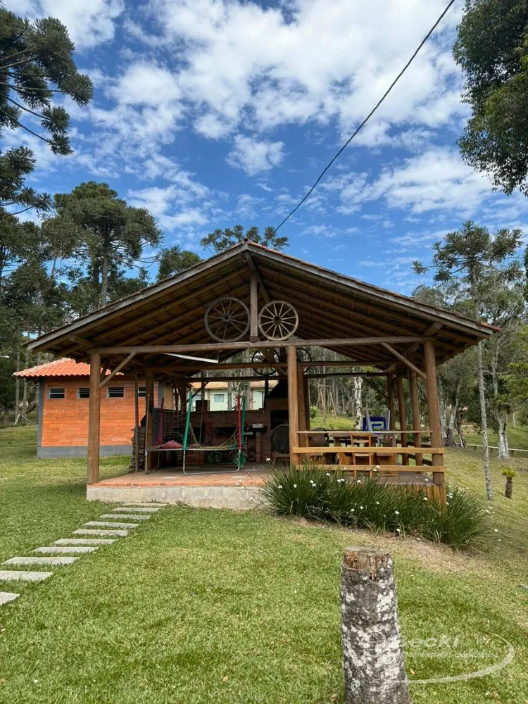 Sítio, 5 hectares - Foto 12