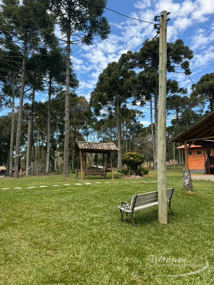 Sítio, 5 hectares - Foto 10